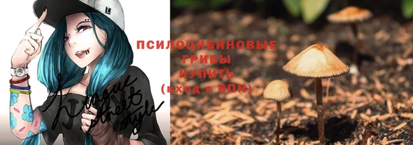 МДПВ Инта