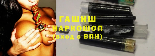 МДПВ Инсар