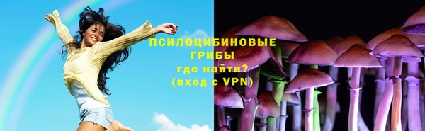 бутират Иннополис