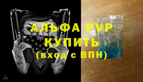 МДПВ Инсар