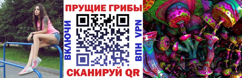 Псилоцибиновые грибы Psilocybe  Купить  Губаха 